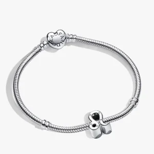 Leo Zodiac Charm Bracelet Set 2 Quantity