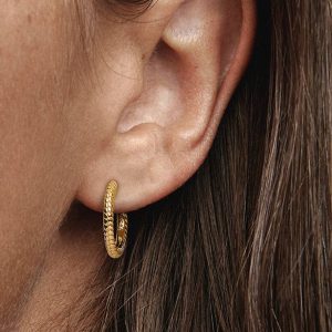 Pandora Moments Small Charm Hoop Earrings 14k gold plating