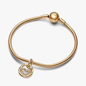 Capricorn Zodiac Dangle Charm Bracelet Set 2 Quantity