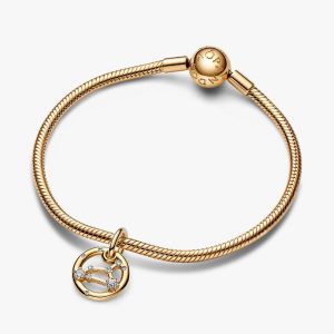 Leo Zodiac Dangle Charm Bracelet Set 2 Quantity